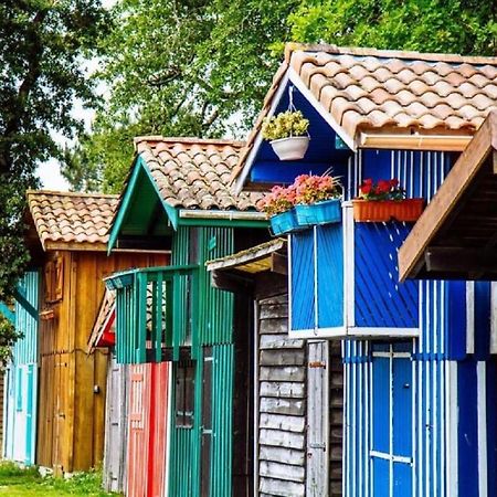 Au Coeur Du Bassin D'Arcachon,Tres Bel Appartement Avec Terrasse Оданж Экстерьер фото