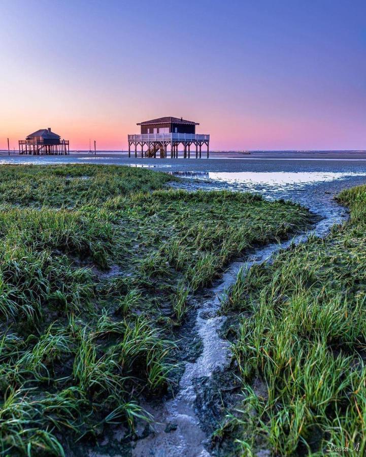 Au Coeur Du Bassin D'Arcachon,Tres Bel Appartement Avec Terrasse Оданж Экстерьер фото