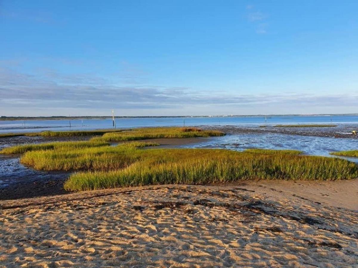 Au Coeur Du Bassin D'Arcachon,Tres Bel Appartement Avec Terrasse Оданж Экстерьер фото