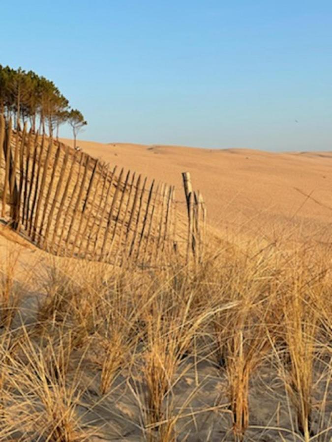 Au Coeur Du Bassin D'Arcachon,Tres Bel Appartement Avec Terrasse Оданж Экстерьер фото