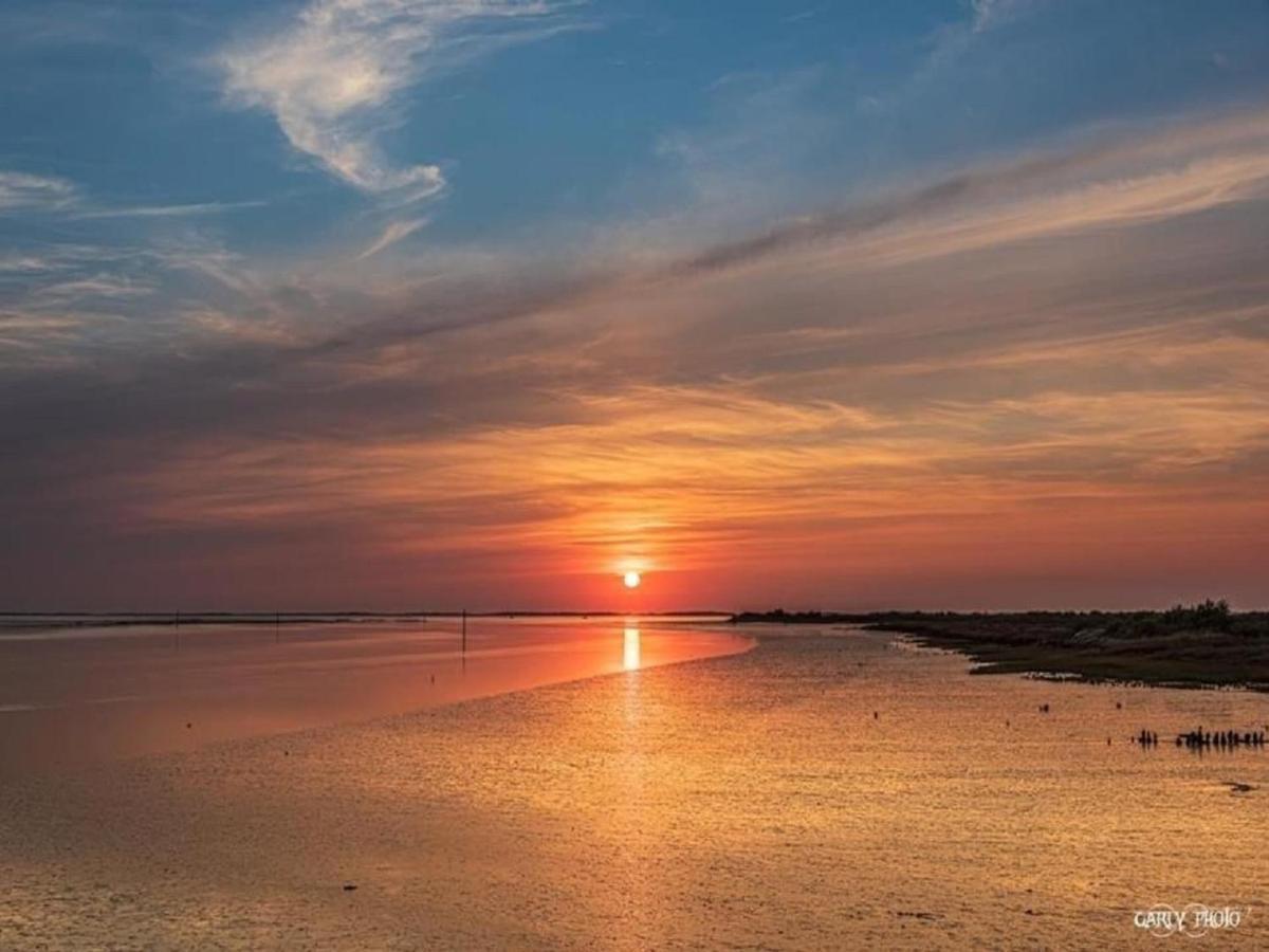 Au Coeur Du Bassin D'Arcachon,Tres Bel Appartement Avec Terrasse Оданж Экстерьер фото